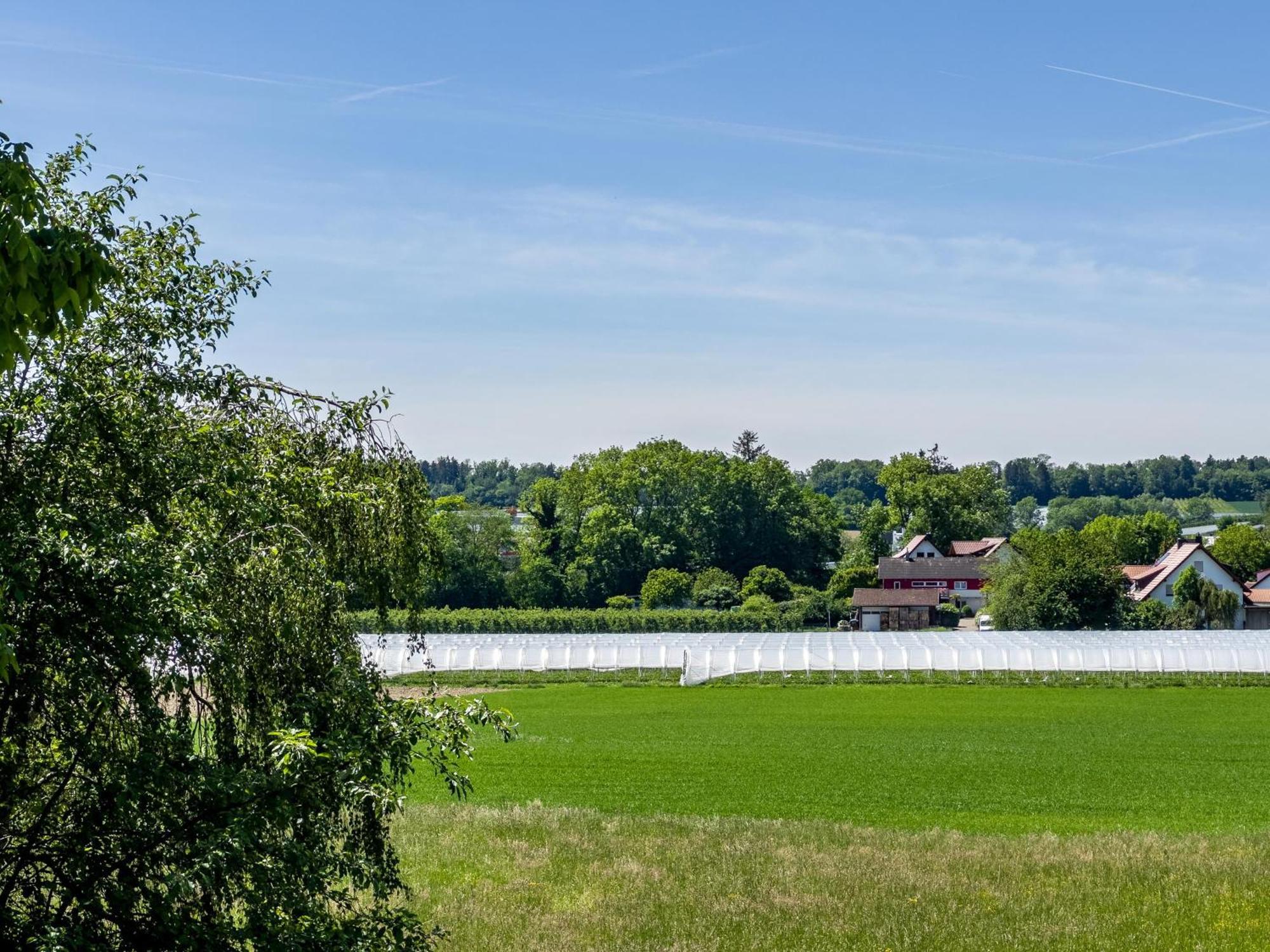 Haus Sohl 1 Apartment Friedrichshafen Luaran gambar